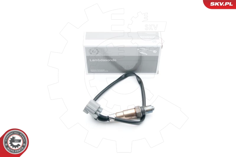 09SKV654