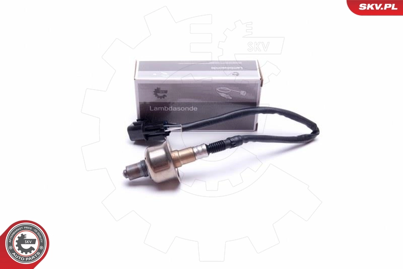 09SKV443