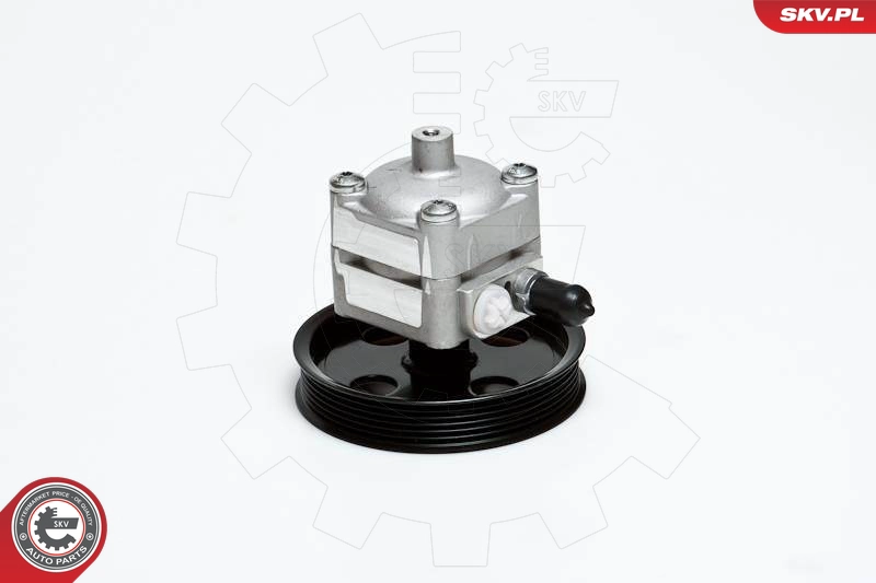 10SKV028