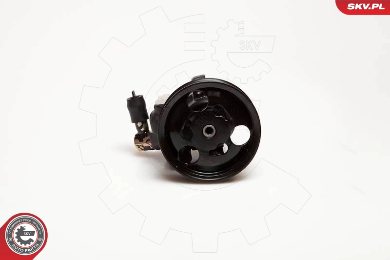 10SKV097