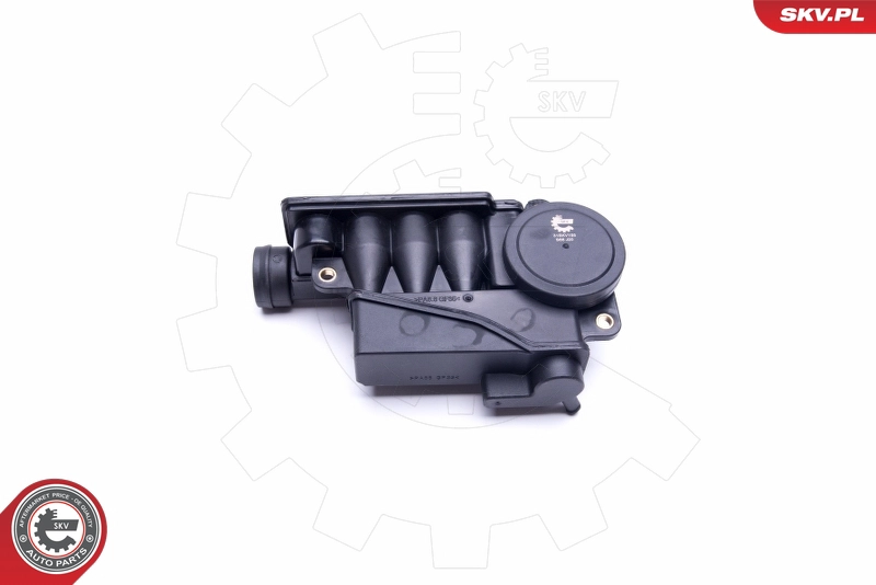 31SKV155