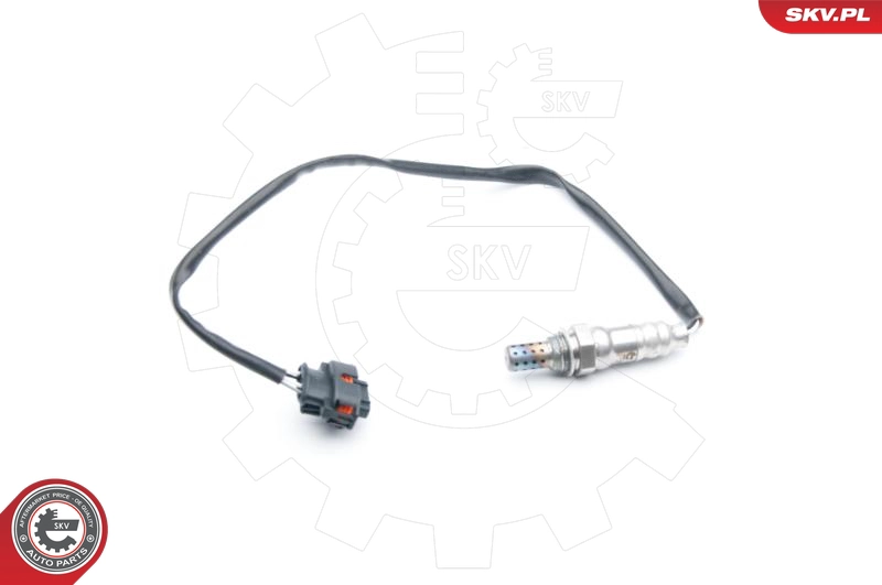 09SKV709