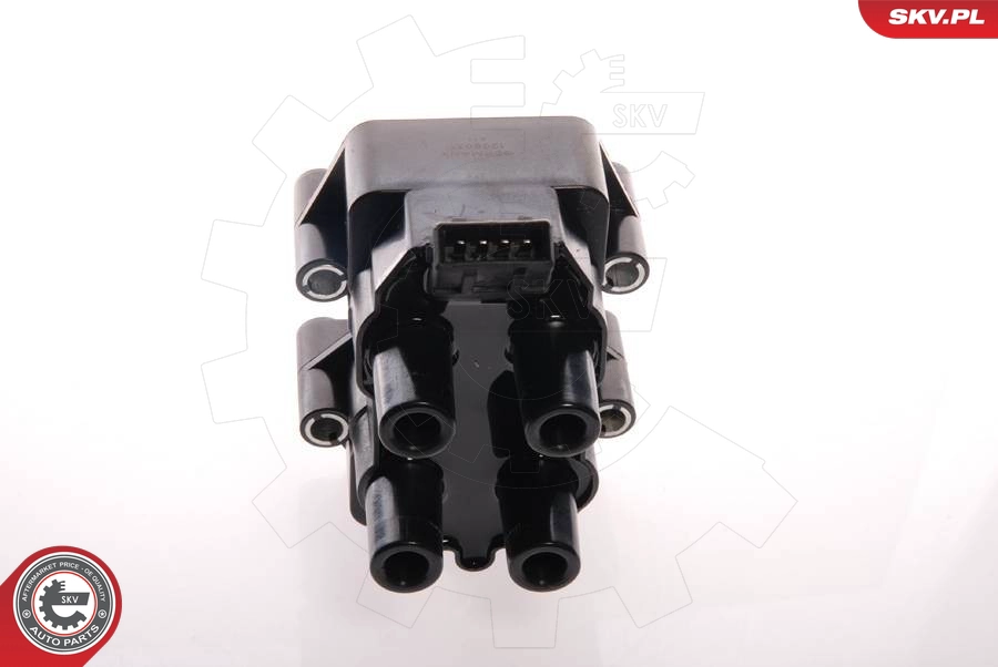 03SKV061
