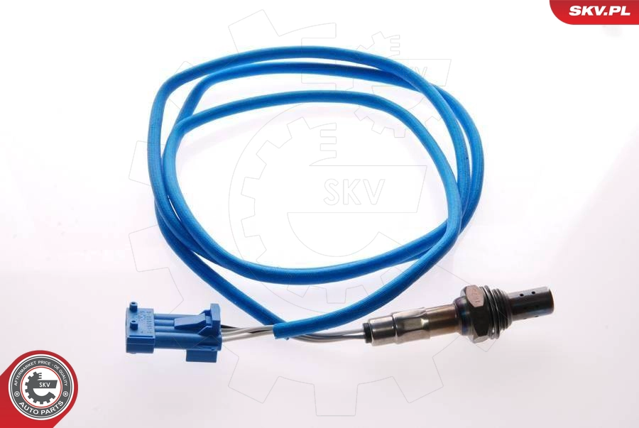 09SKV039