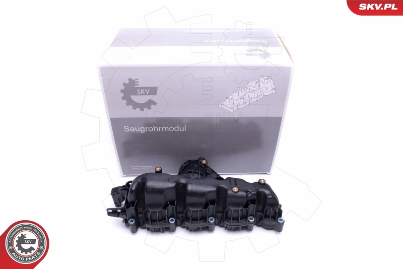 49SKV007