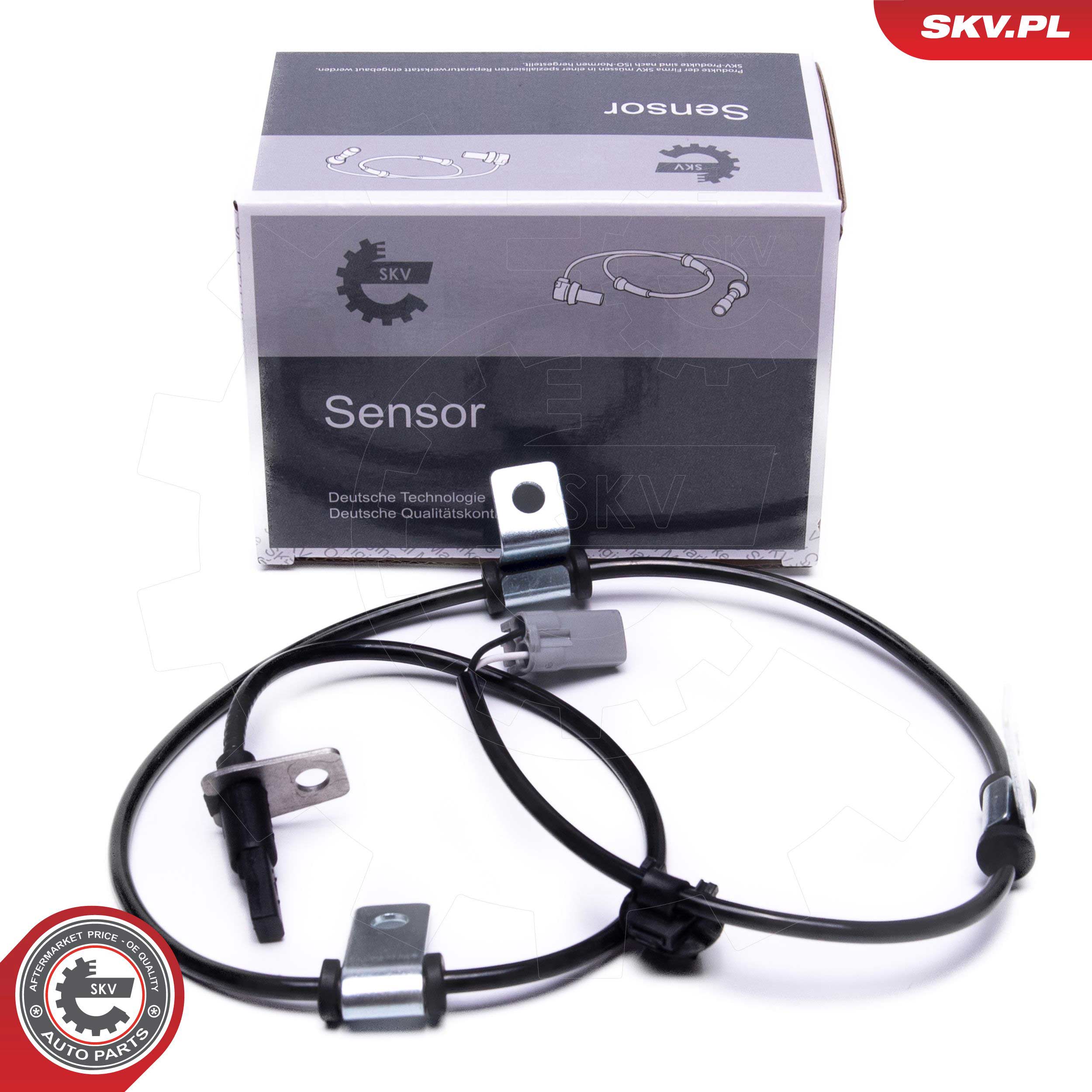 06SKV522