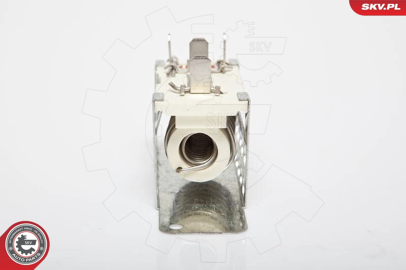 95SKV019