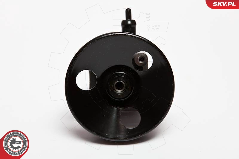 10SKV010