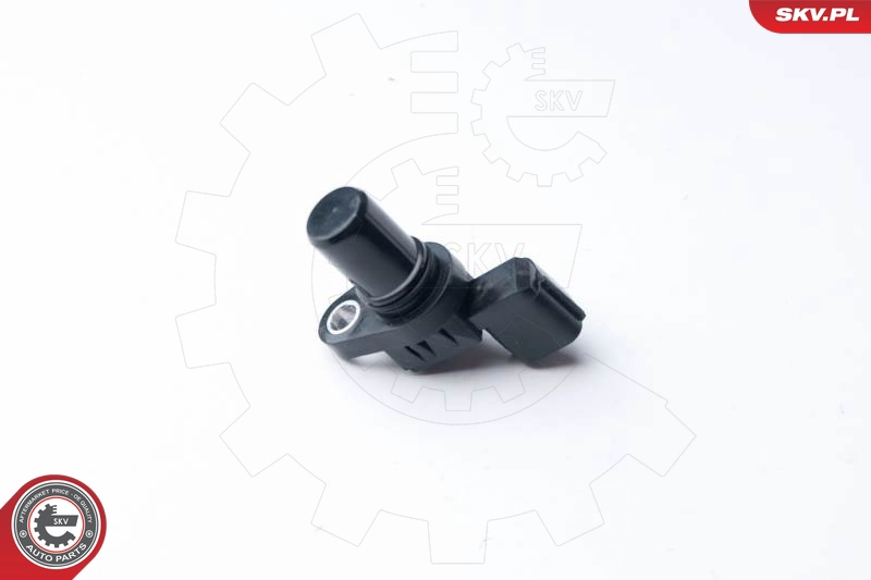 17SKV256