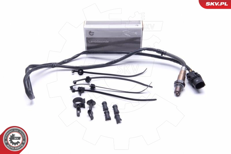 09SKV419