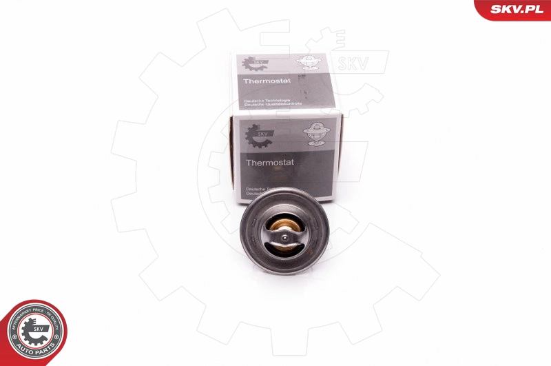 20SKV058