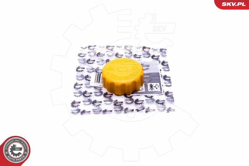 61SKV021