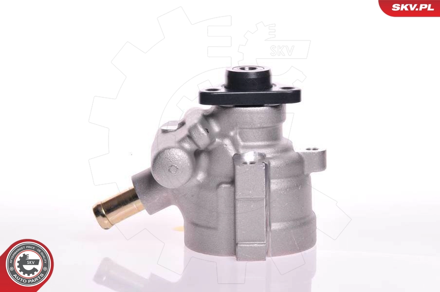 10SKV141
