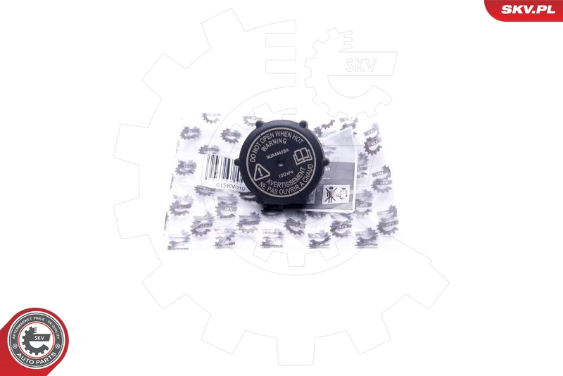 61SKV019