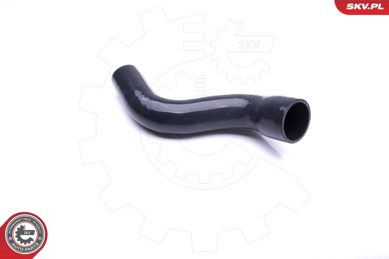 24SKV892