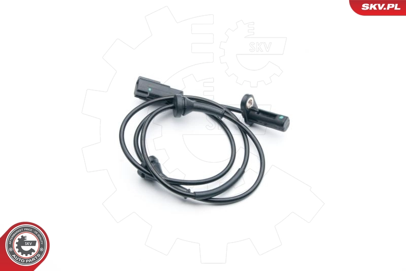 06SKV287