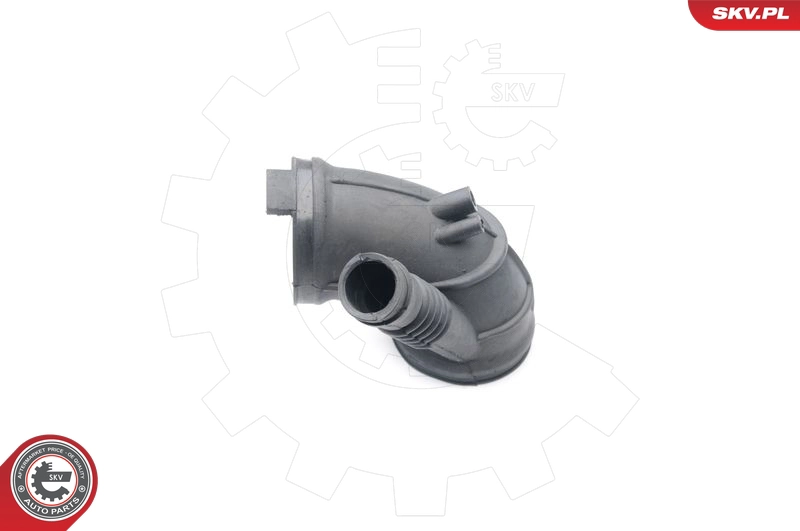 24SKV404