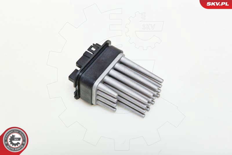 95SKV002