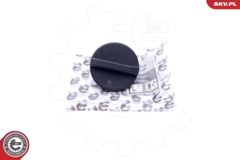61SKV018