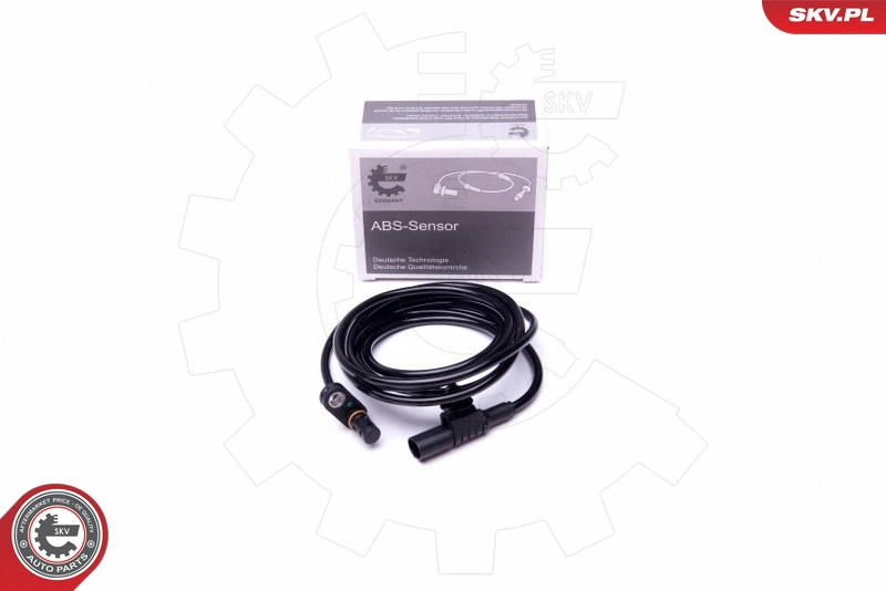06SKV369