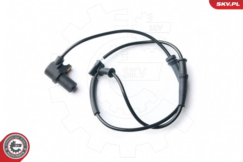 06SKV257