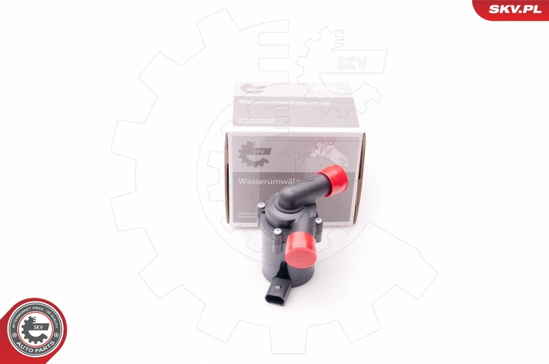 22SKV012