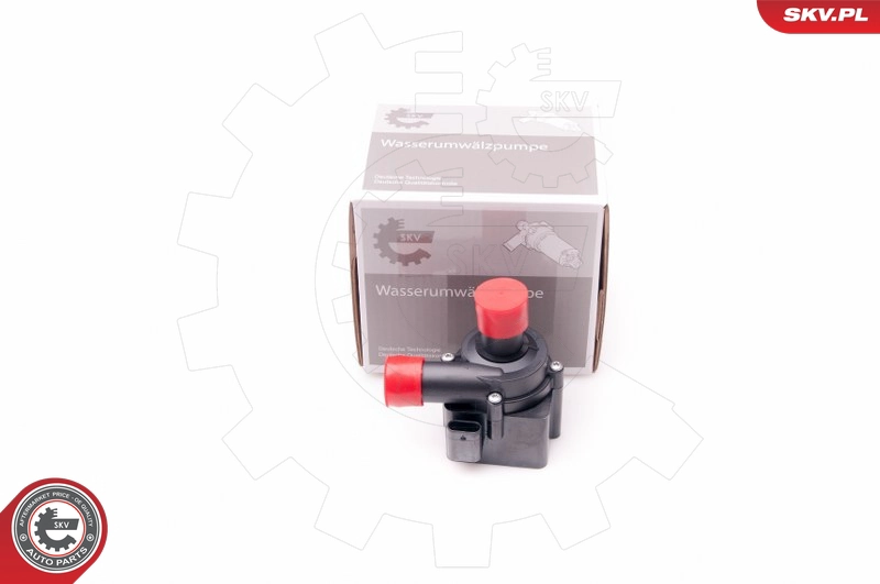 22SKV019