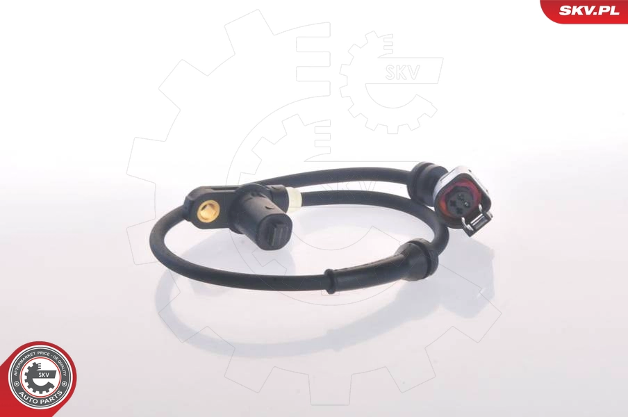 06SKV113