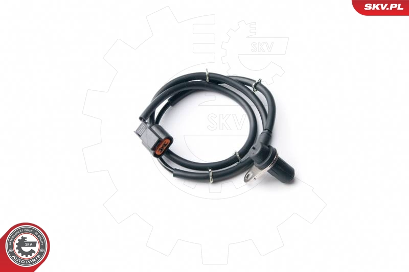 06SKV221