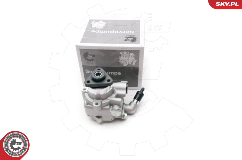 10SKV194