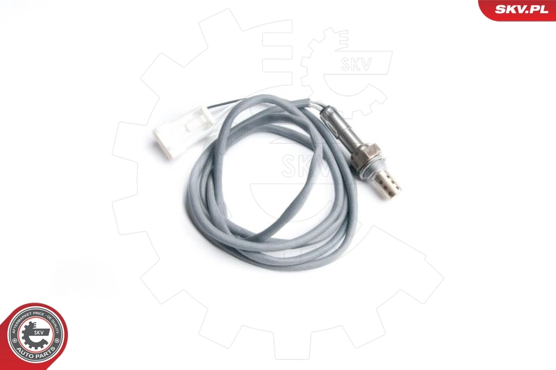09SKV099