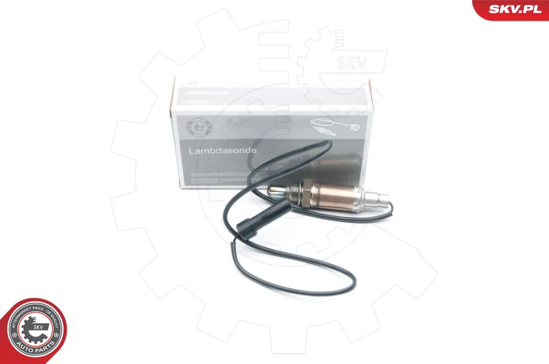09SKV527