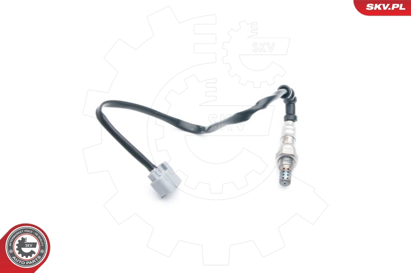 09SKV627