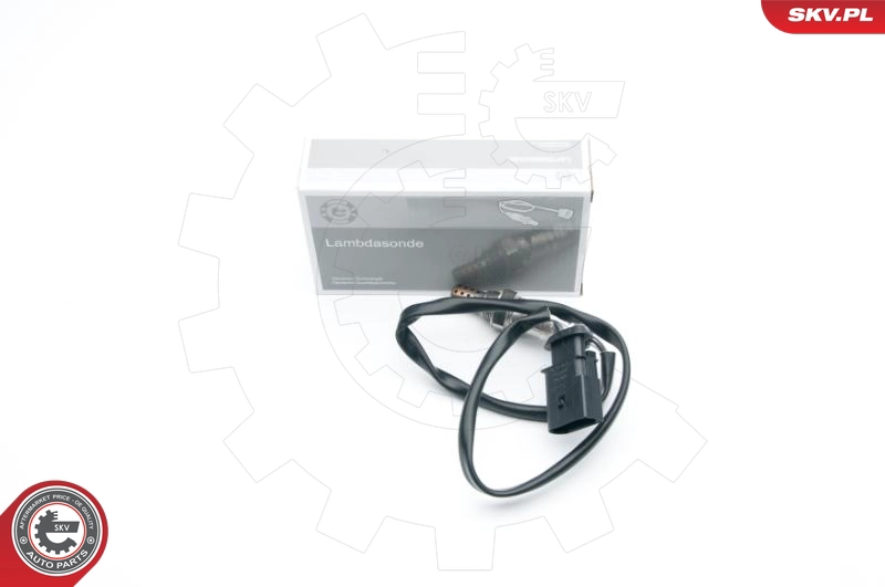 09SKV675