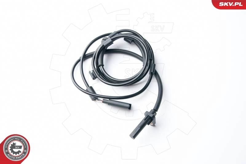 06SKV242