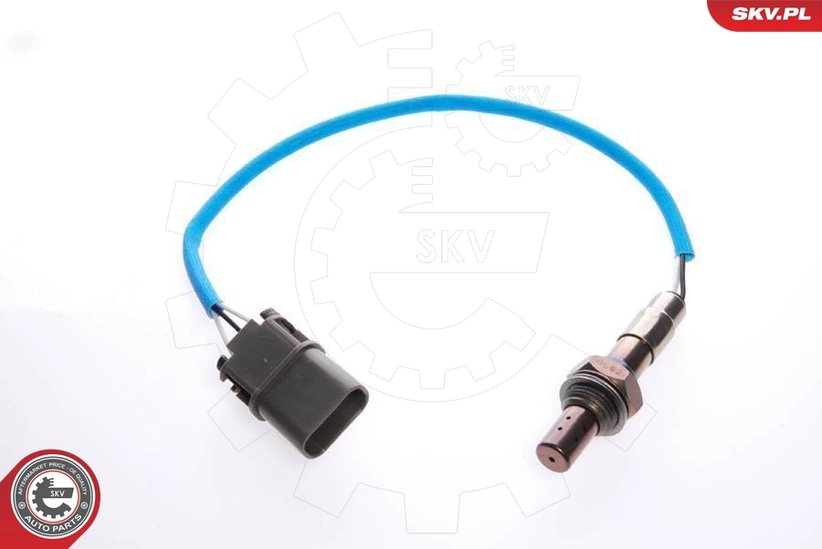 09SKV016