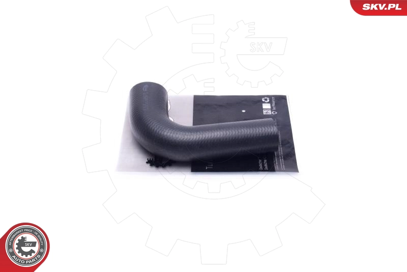 54SKV025
