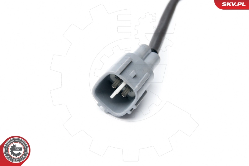 09SKV113