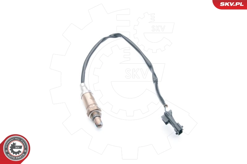 09SKV662