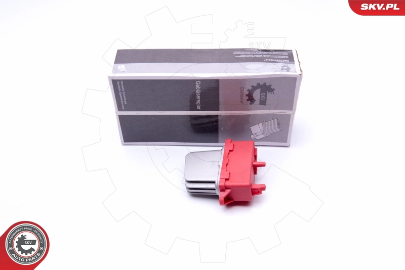 94SKV077