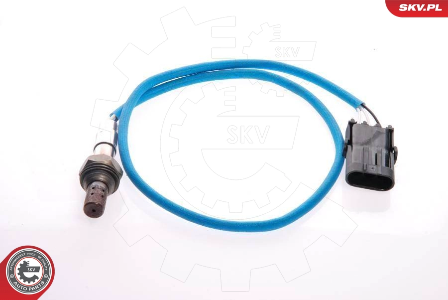 09SKV076