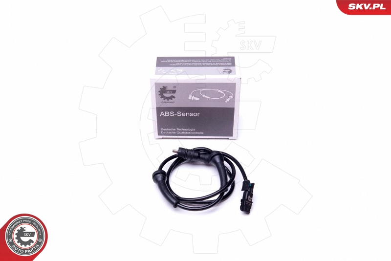 06SKV389
