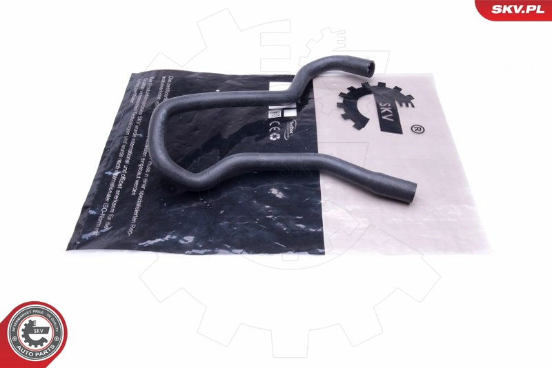 43SKV828
