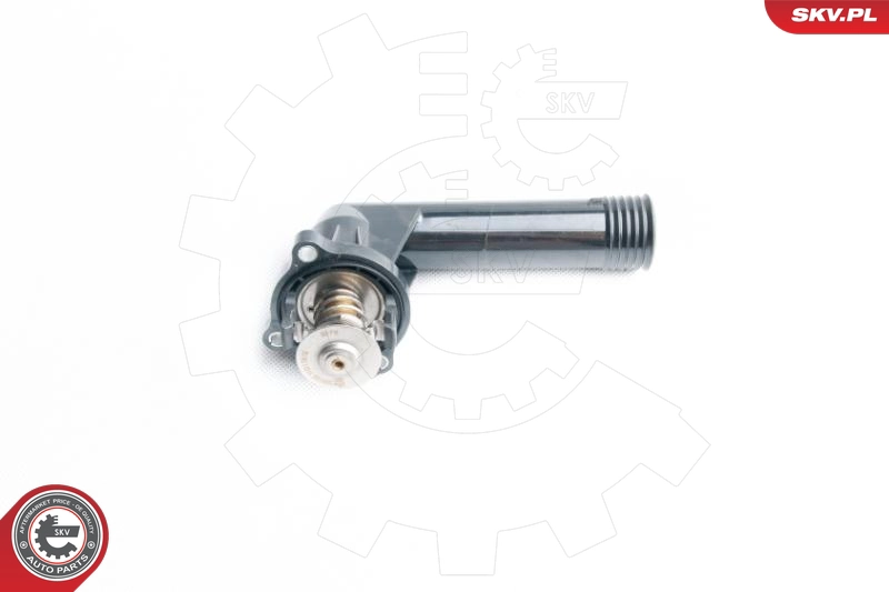 20SKV022