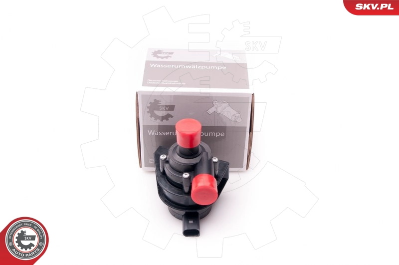 22SKV011