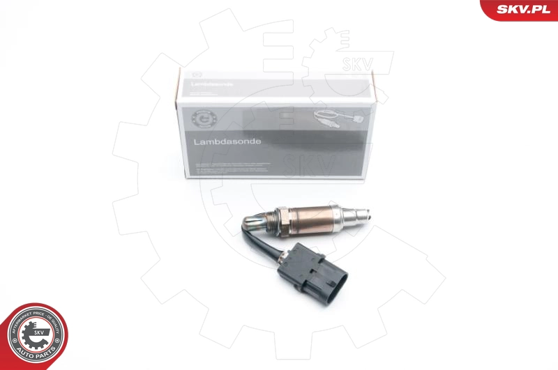 09SKV532