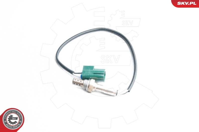 09SKV103