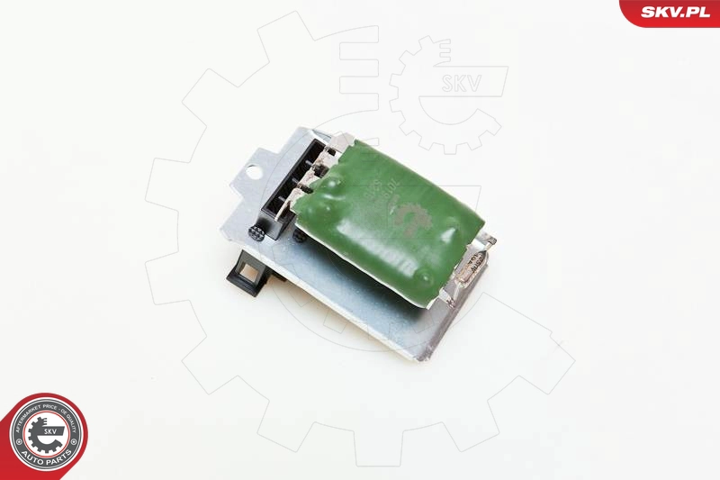 95SKV013