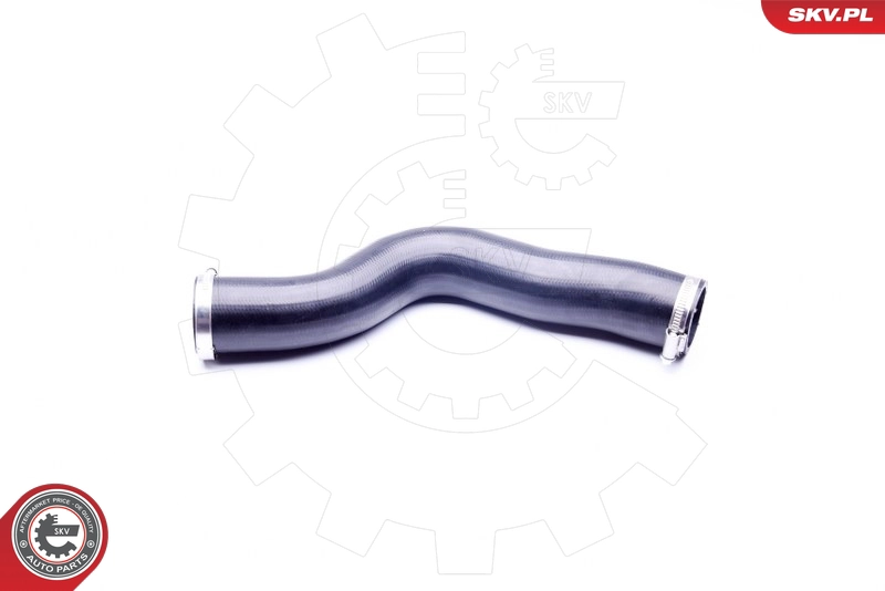 43SKV068