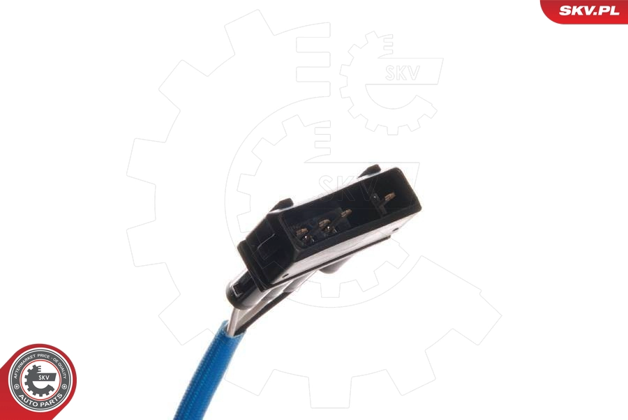 09SKV046